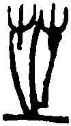 芝, ,書法字典